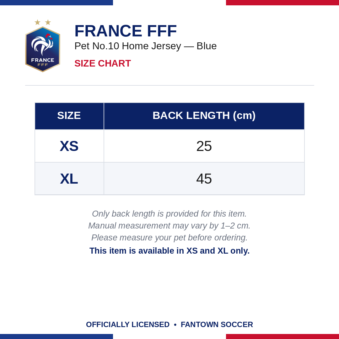 France FFF Pet No.10 Home Jersey - Blue